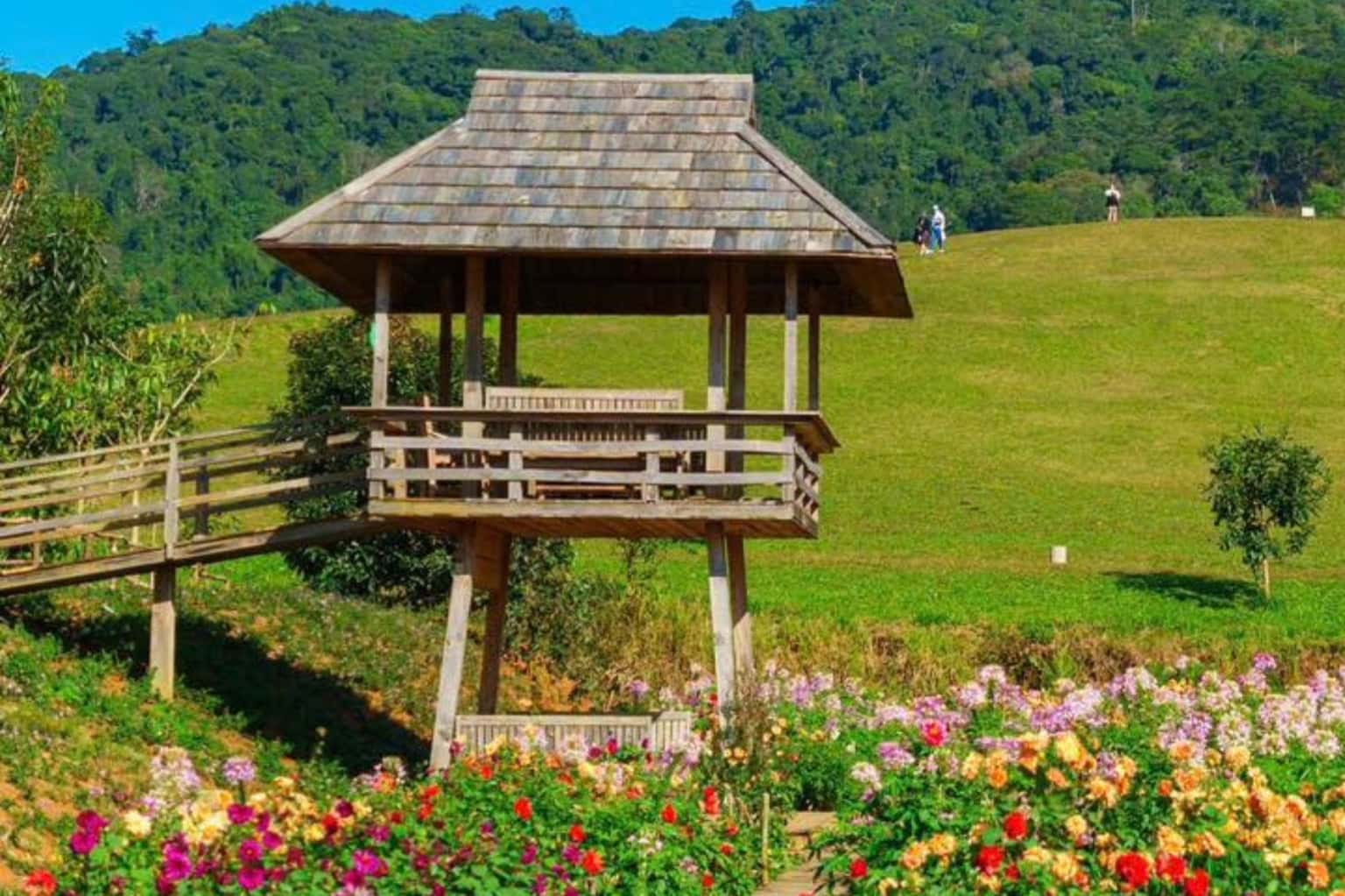 The Florest - Hoa Trong Rừng (Đà Lạt) — ảnh 3