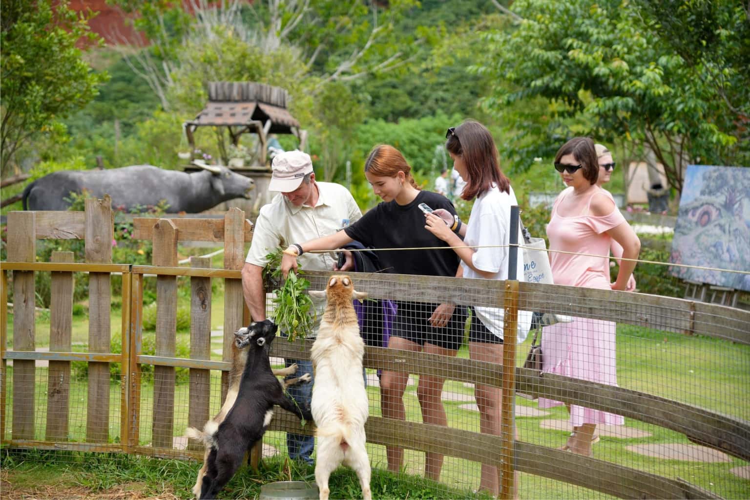 God Valley – Thung lũng các vị thần tại Đà Lạt — ảnh 5
