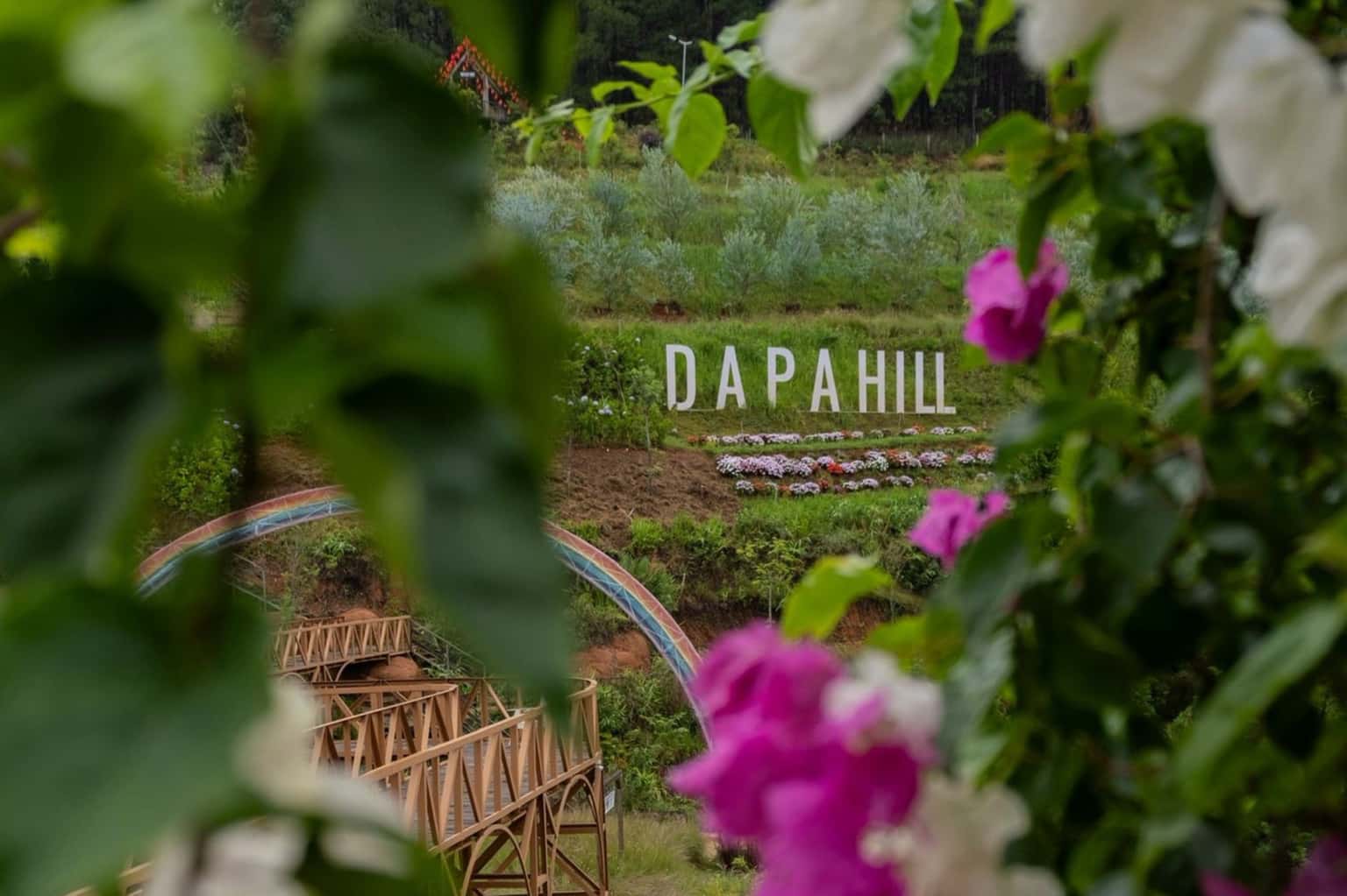 大叻 Dapa Hill — 照片 1