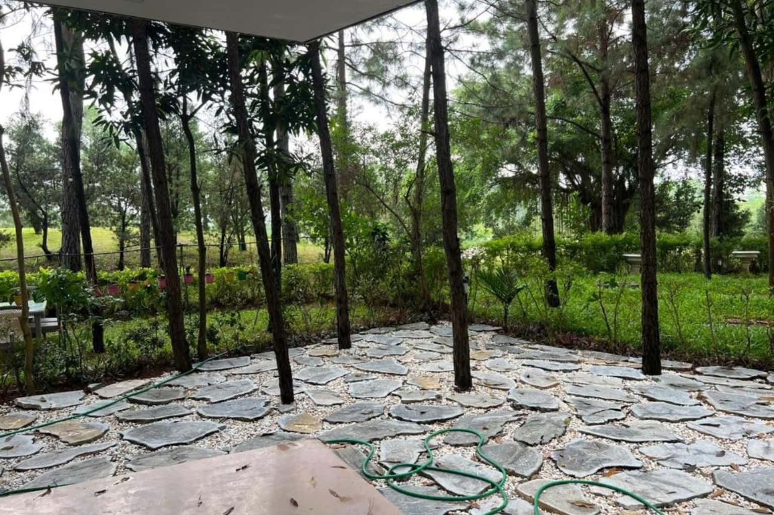 Villa R329, Flamingo Đại Lải — 照片 8