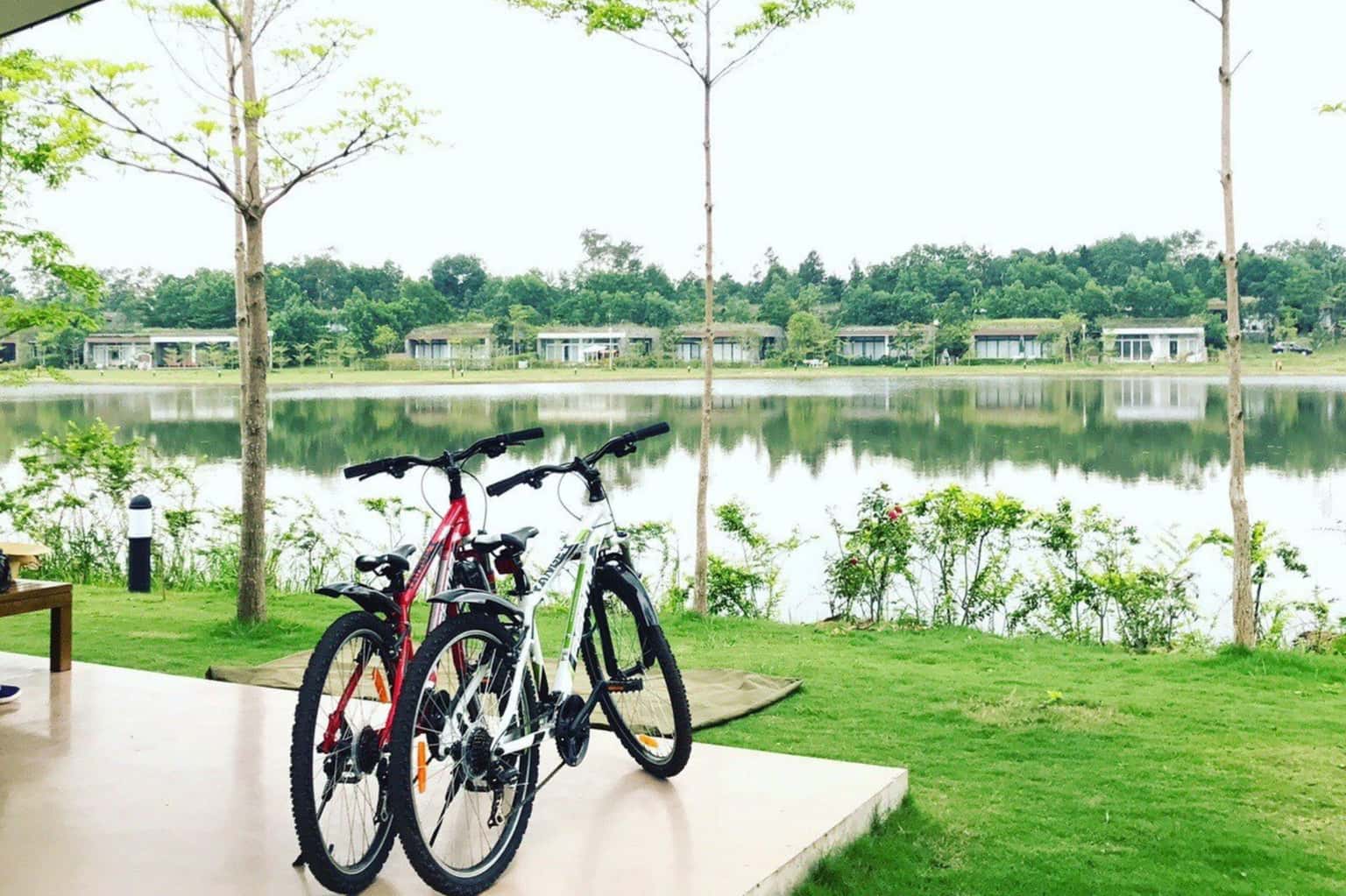 Xe đạp 