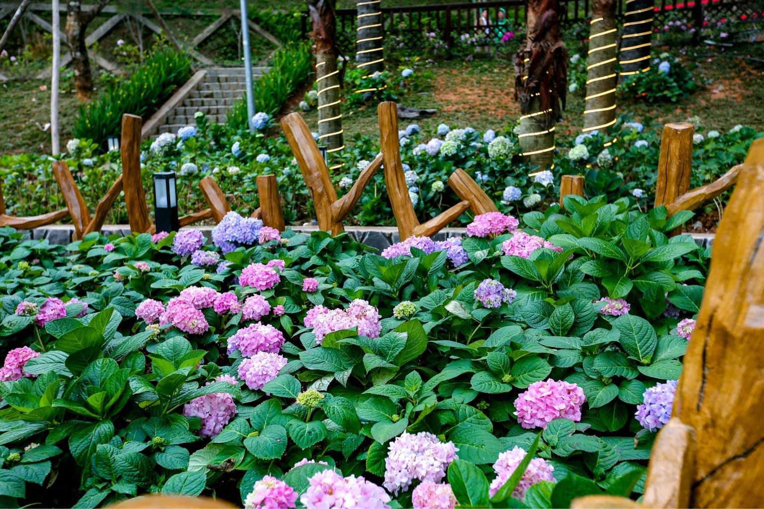 Langfarm Center Đà Lạt - Fairytale Farm — photo 12