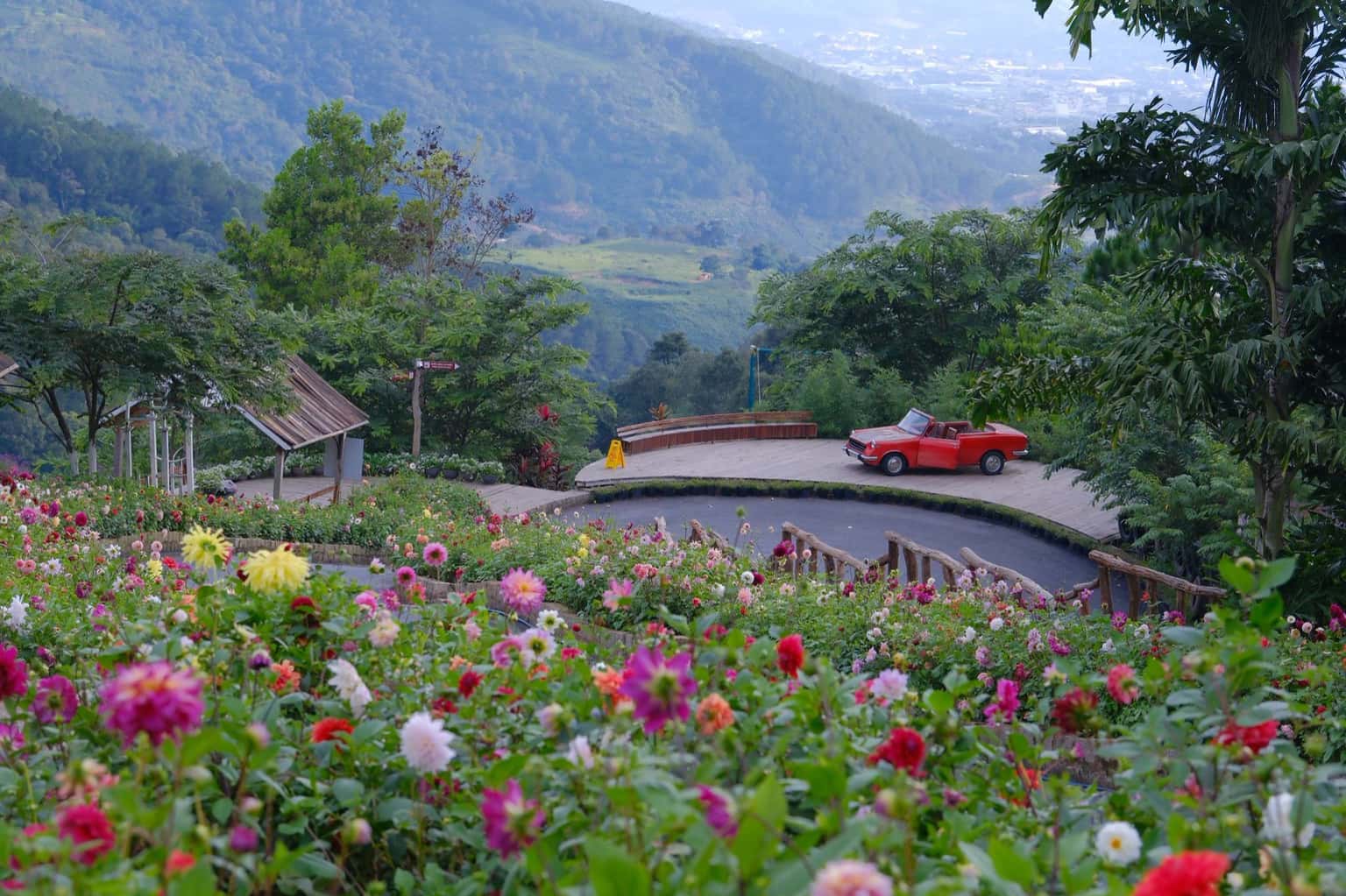 KDL Sinh Thái Cao Nguyên Hoa Đà Lạt — ảnh 10