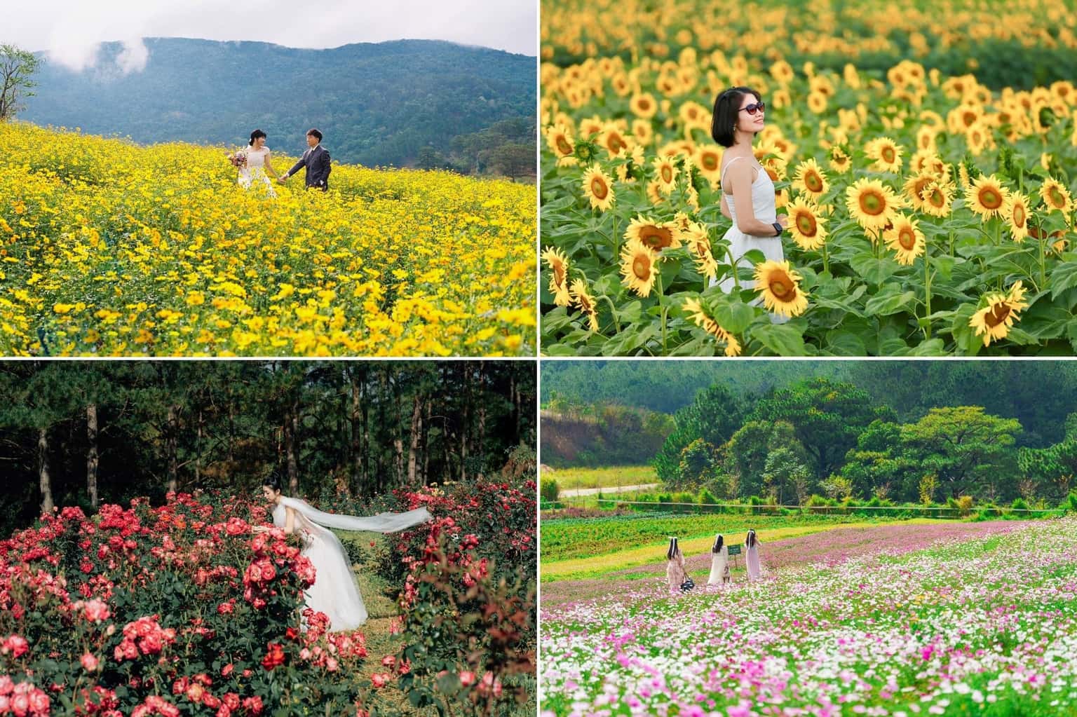 The Florest - Hoa Trong Rừng (Đà Lạt) — ảnh 10