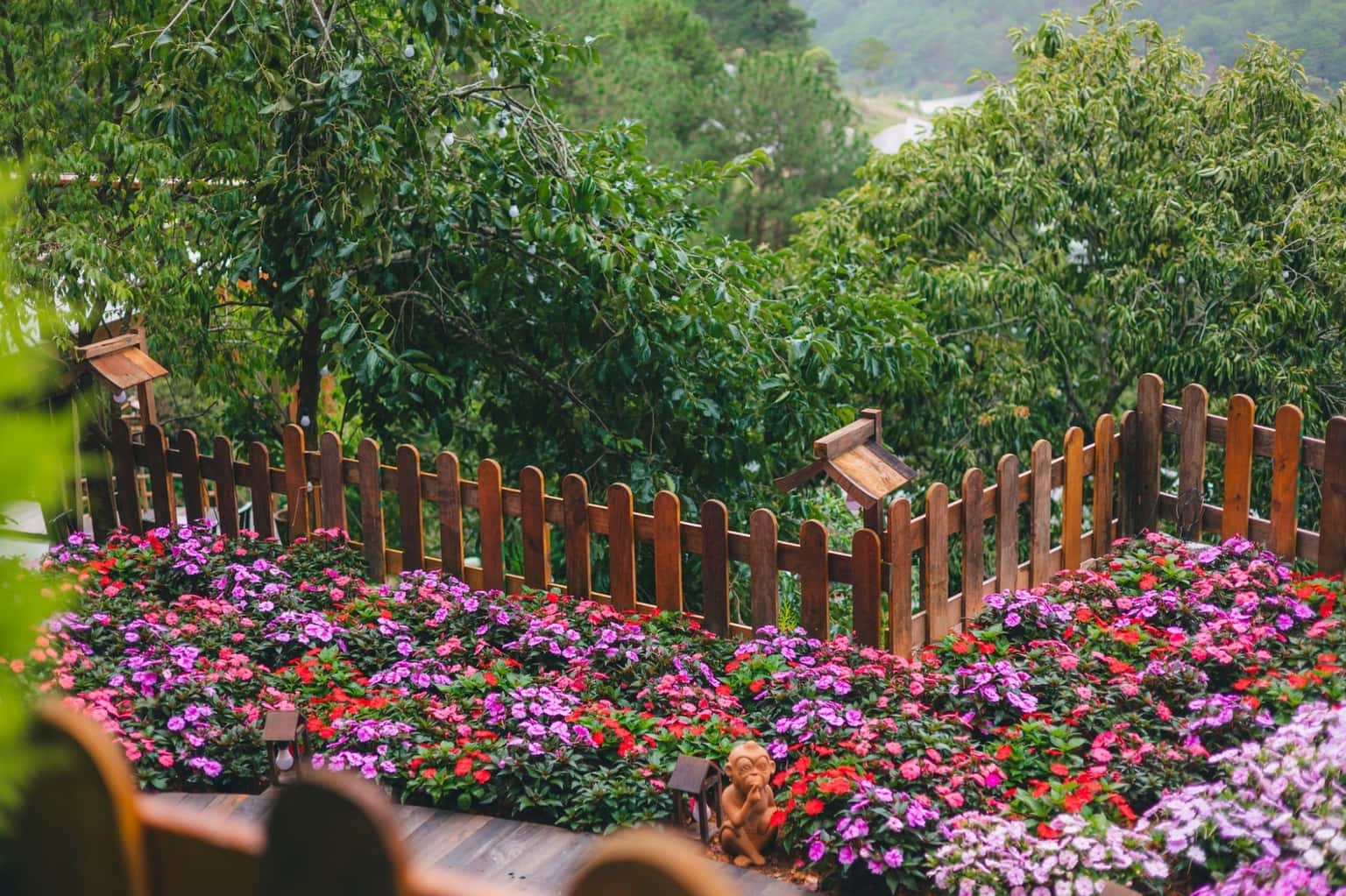 Quán cafe Nhà của Thông (Đà Lạt) — ảnh 10
