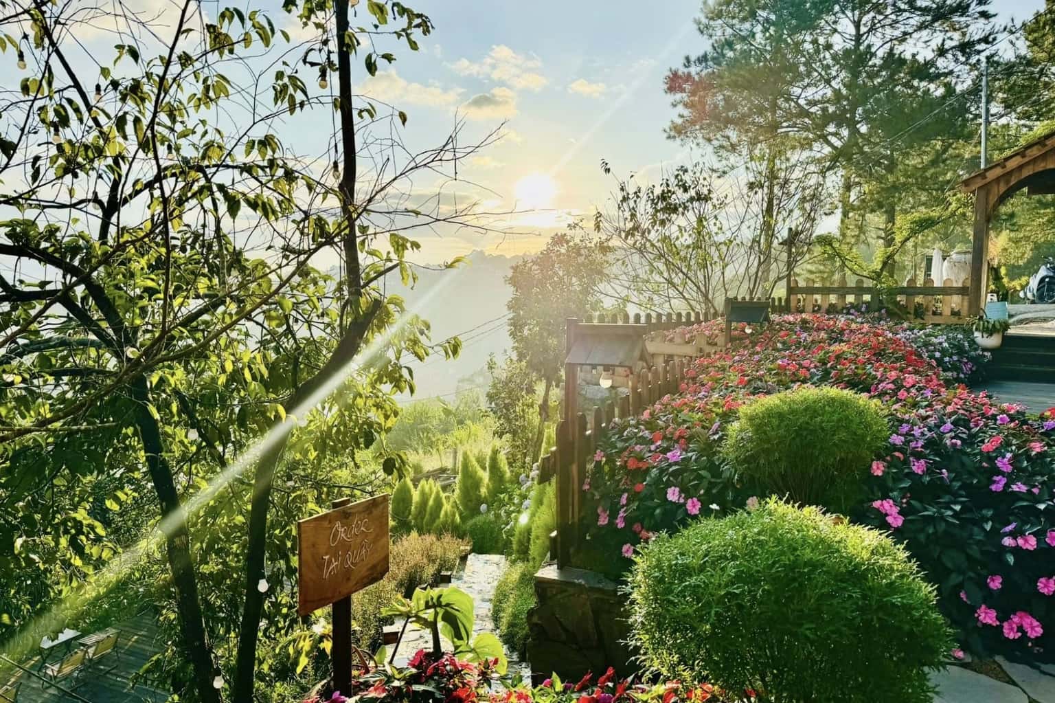 Quán cafe Nhà của Thông (Đà Lạt) — ảnh 12