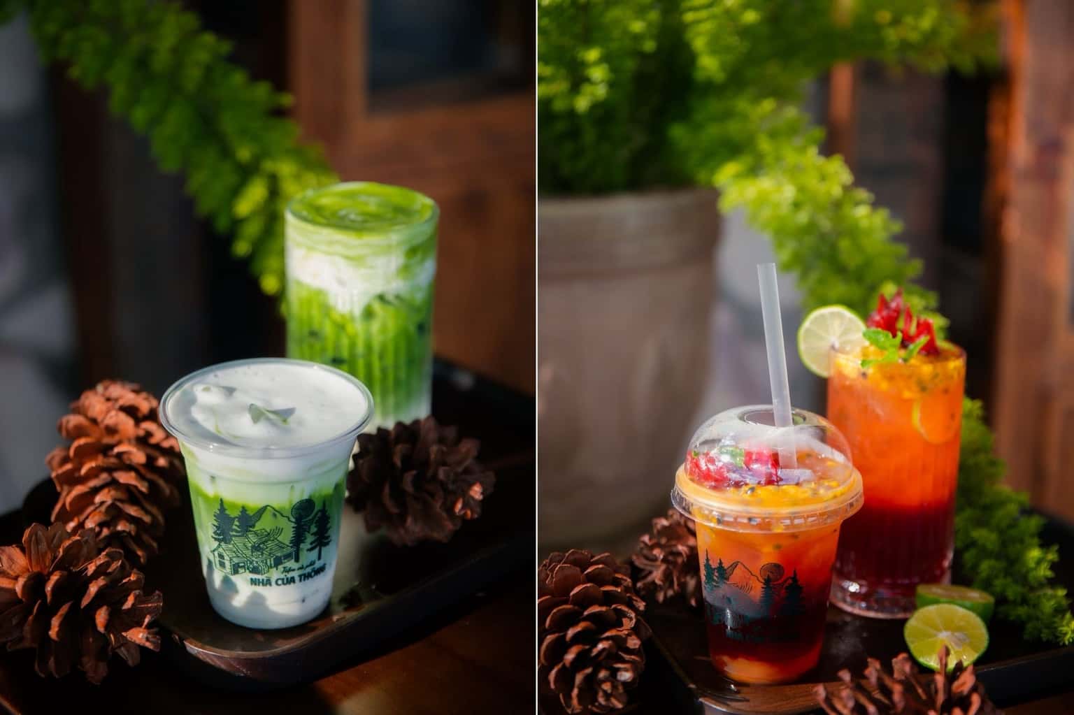 Quán cafe Nhà của Thông (Đà Lạt) — ảnh 16