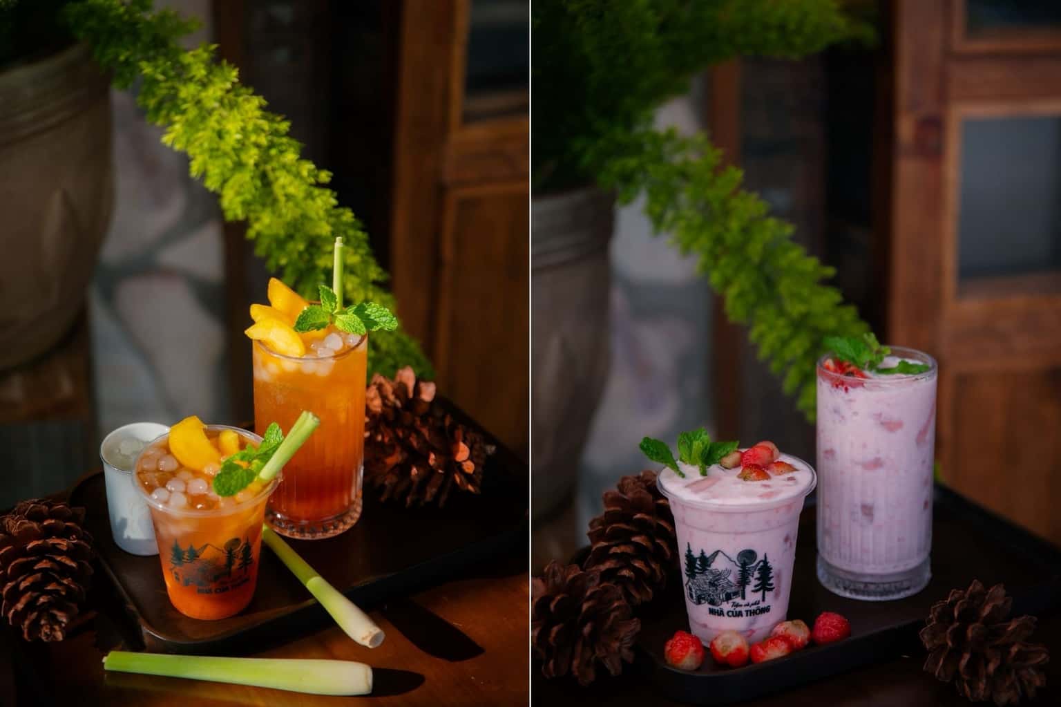 Quán cafe Nhà của Thông (Đà Lạt) — ảnh 17