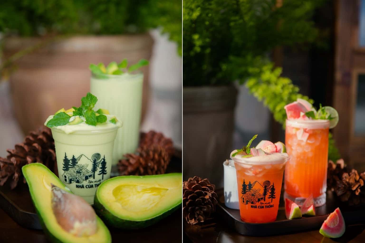 Quán cafe Nhà của Thông (Đà Lạt) — ảnh 18