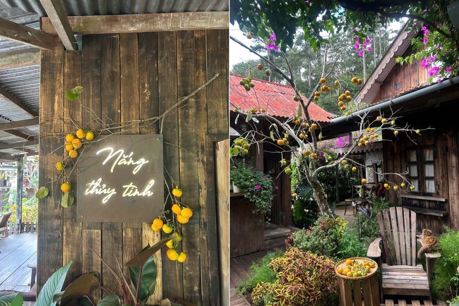 Nắng Thủy Tinh 咖啡馆（大叻） — 照片 2