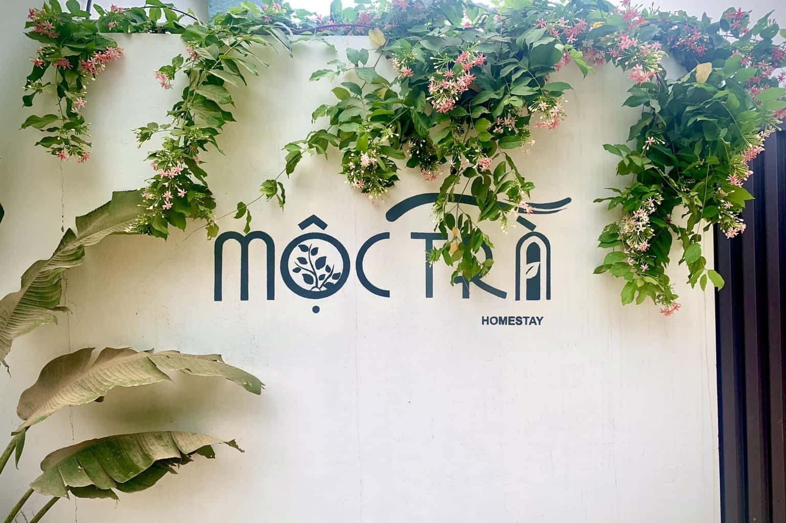 位于Vân Hòa、Ba Vì的Mộc Trà Homestay — 照片 6