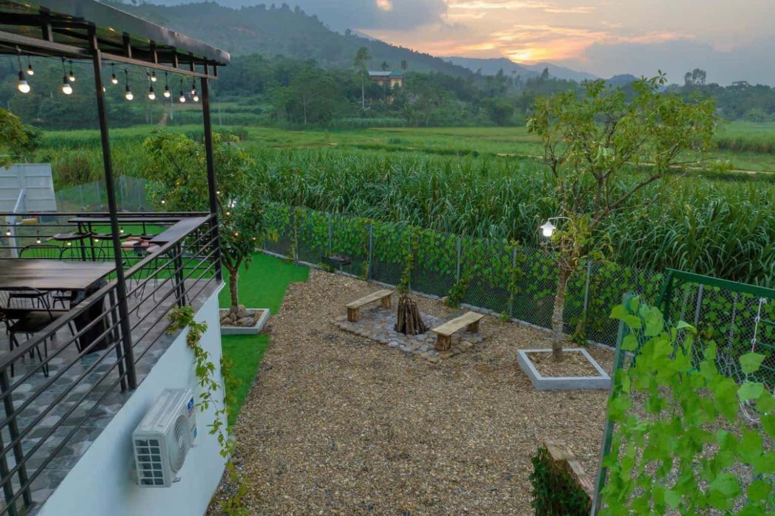位于Vân Hòa、Ba Vì的Mộc Trà Homestay — 照片 18