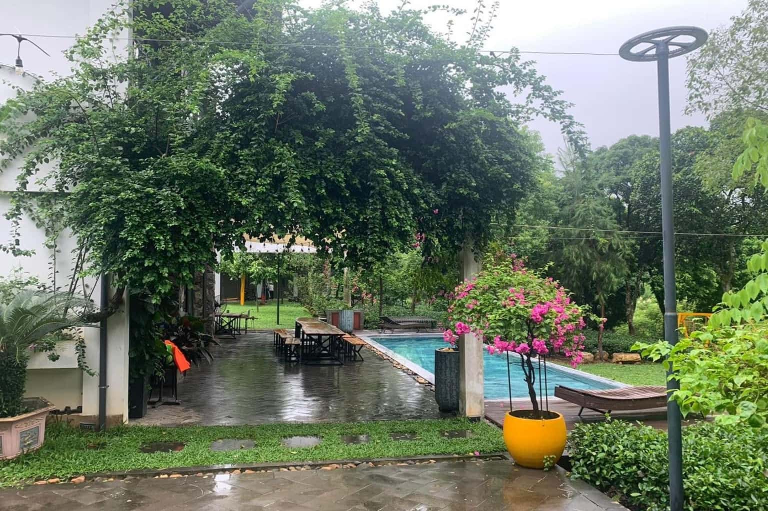 Camellia House tại Vân Hòa, Ba Vì — ảnh 12