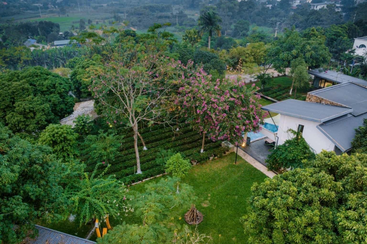 Camellia House tại Vân Hòa, Ba Vì — ảnh 14