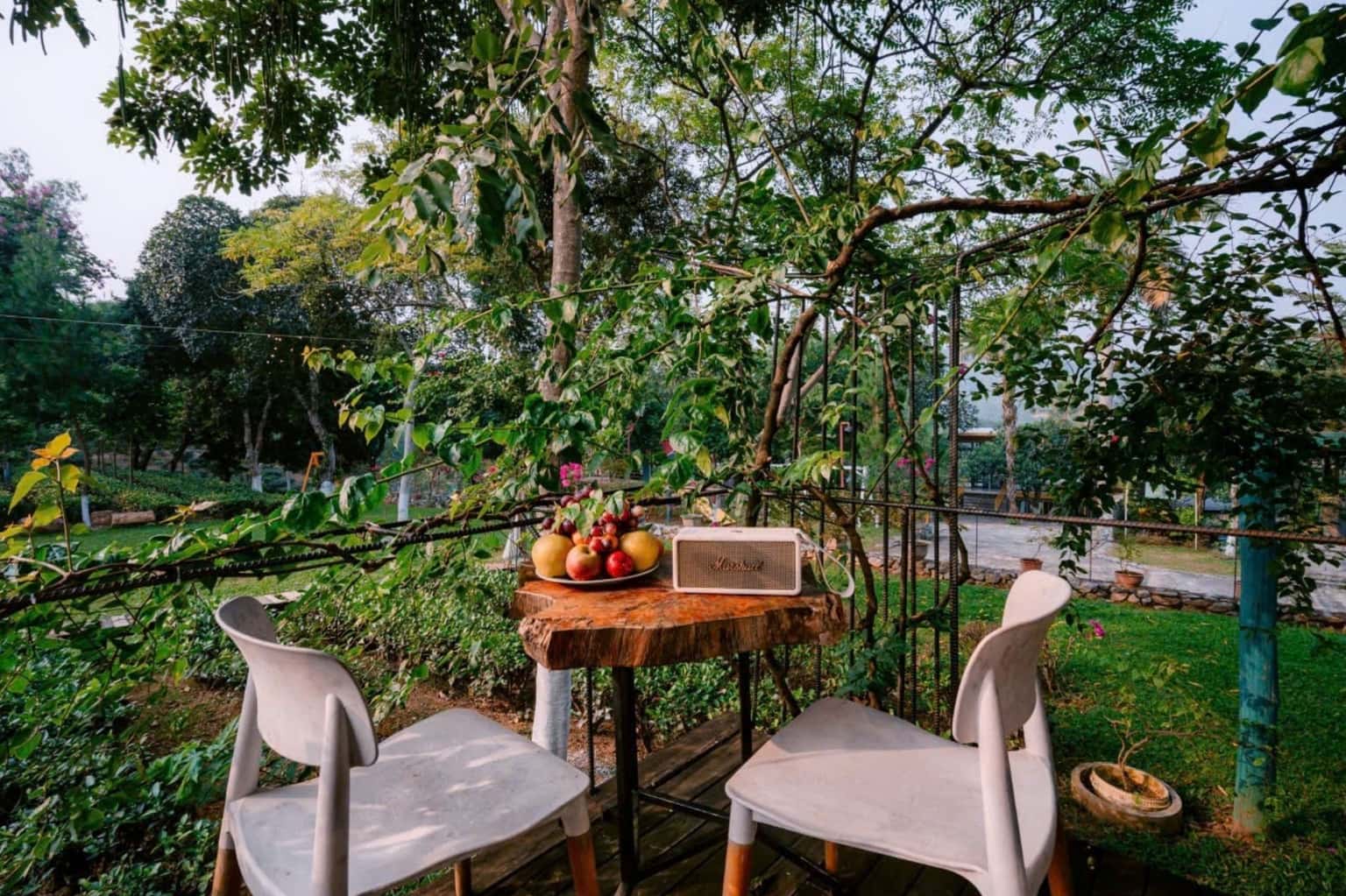 Camellia House tại Vân Hòa, Ba Vì — ảnh 17