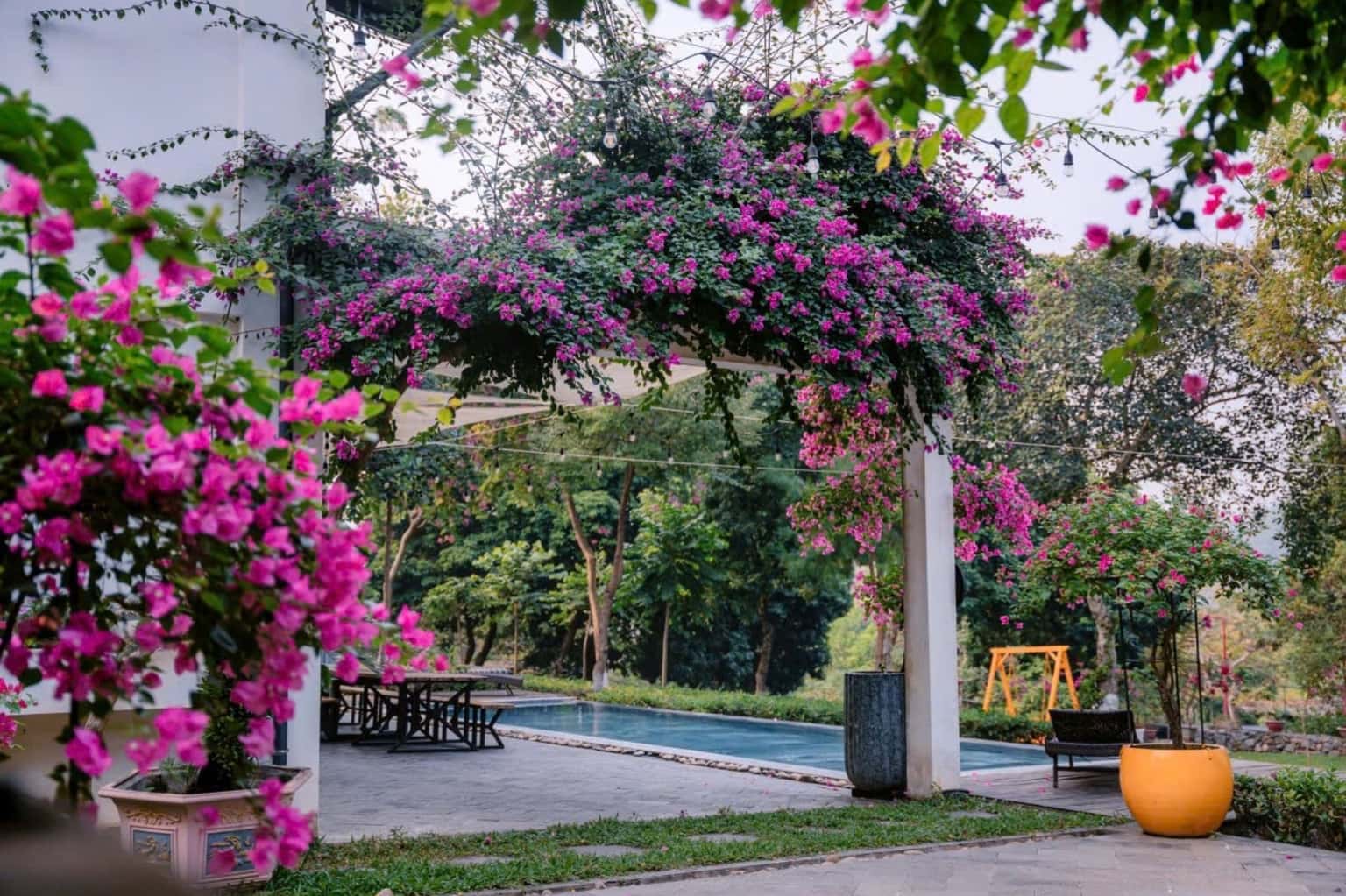 Camellia Homestay Nguyên Khu tại Vân Hòa, Ba Vì — ảnh 7