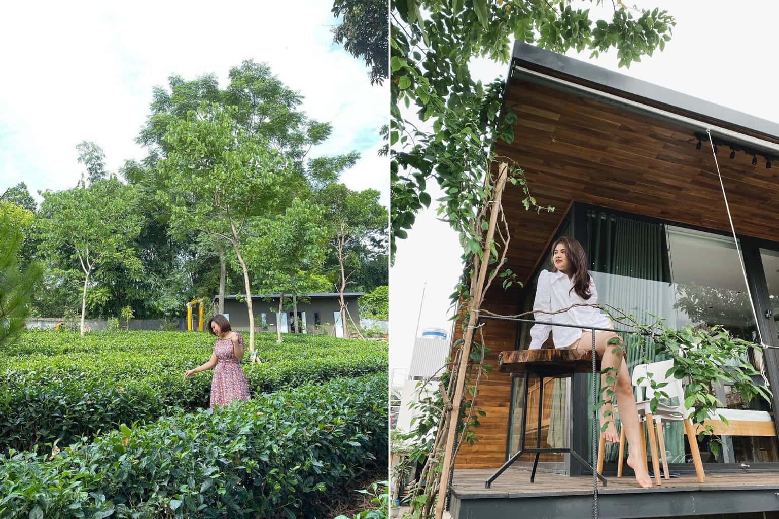 Camellia House tại Vân Hòa, Ba Vì — ảnh 22