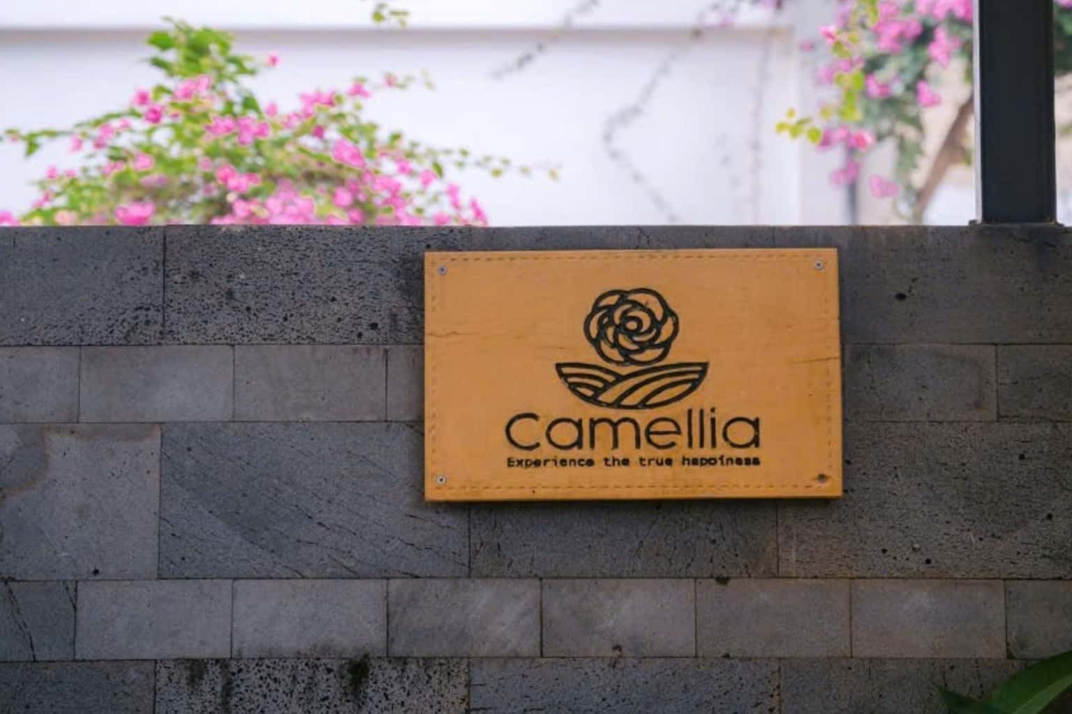Camellia Homestay Nguyên Khu tại Vân Hòa, Ba Vì — ảnh 3