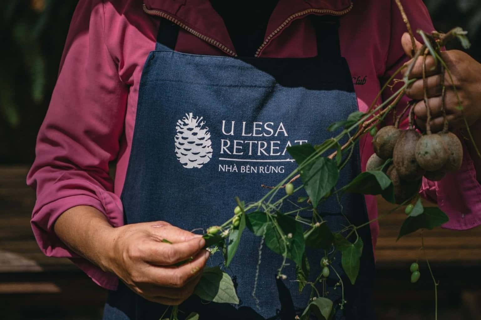 Quán Bên Rừng - U Lesa Retreat — ảnh 1