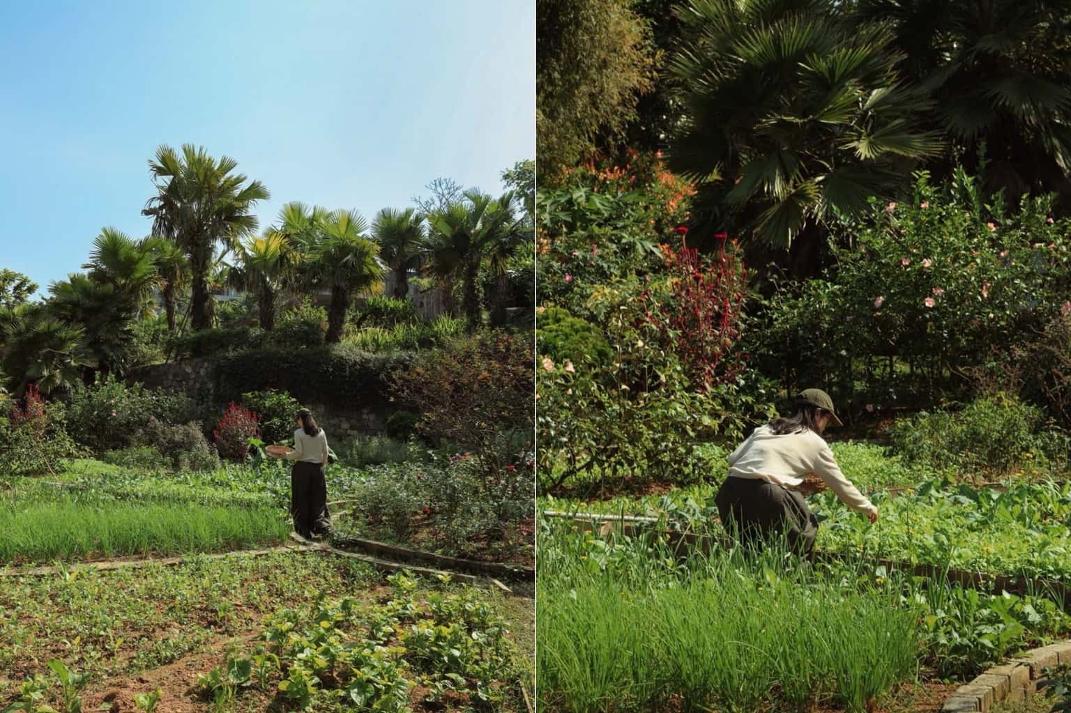 位于 Minh Trí, Sóc Sơn 的 Lam Mạc Retreat — 照片 15