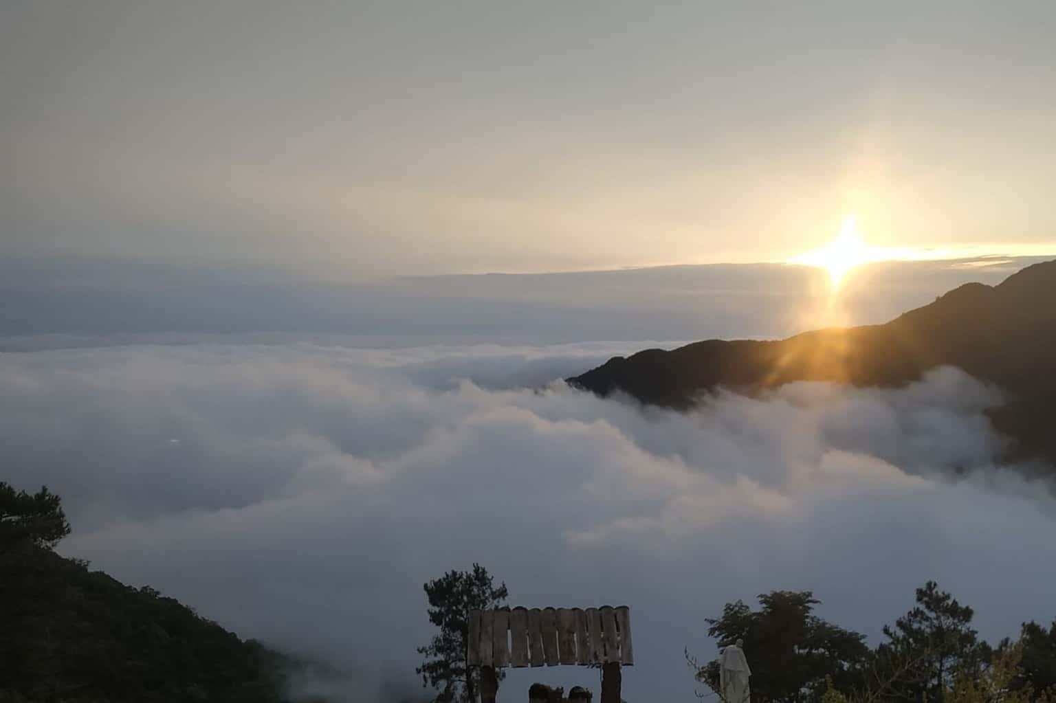 Lala Land Tam Đảo — ảnh 41