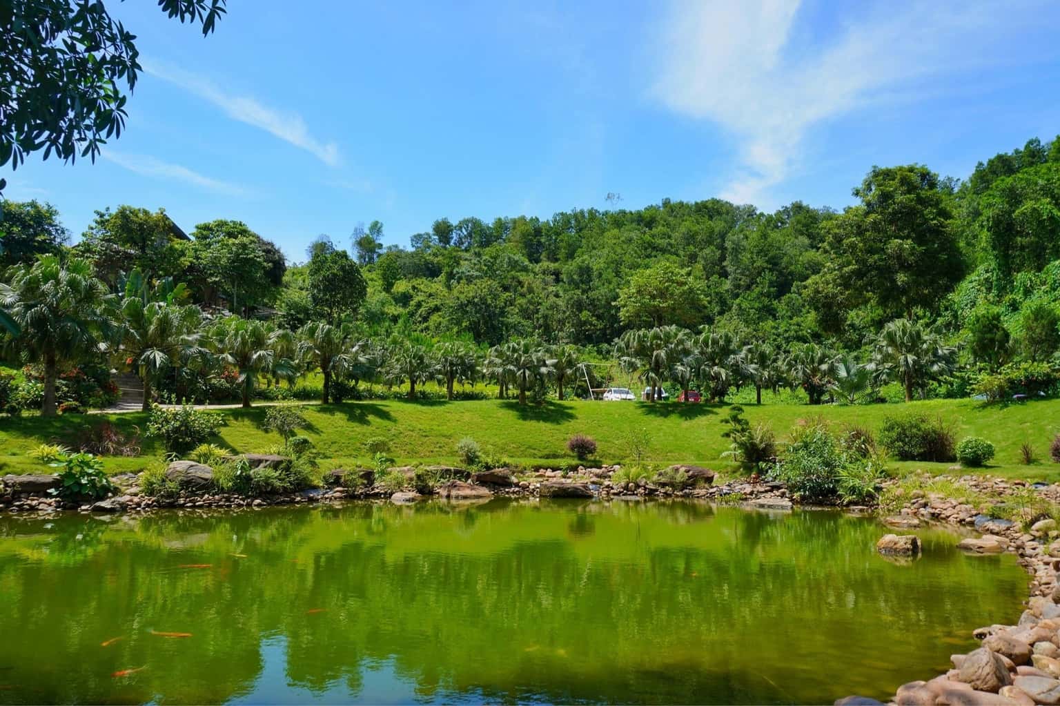 Mơ House (Thung Mây Resort) tại Vân Hòa, Ba Vì — ảnh 22