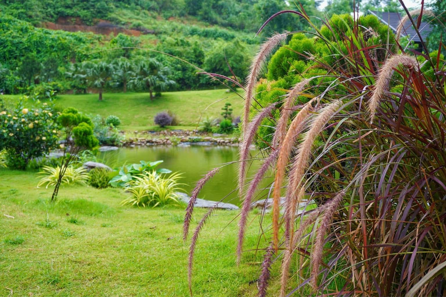 Mơ House (Thung Mây Resort) tại Vân Hòa, Ba Vì — ảnh 24