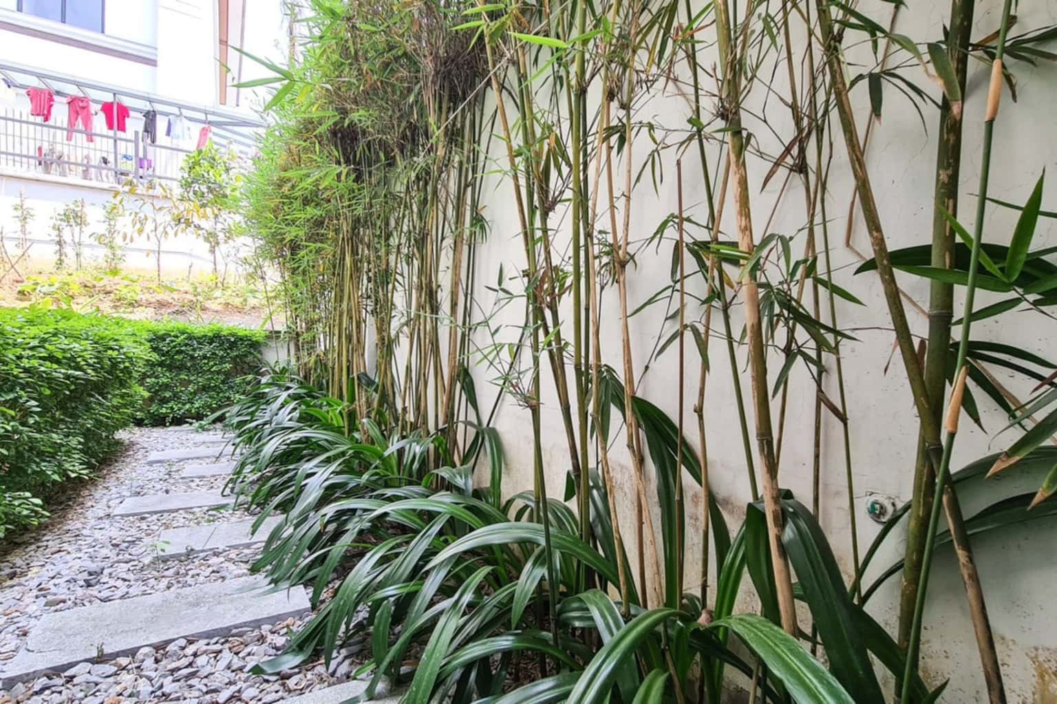 Villa BT6.33 – FLC Hạ Long, Hòn Gai — photo 4