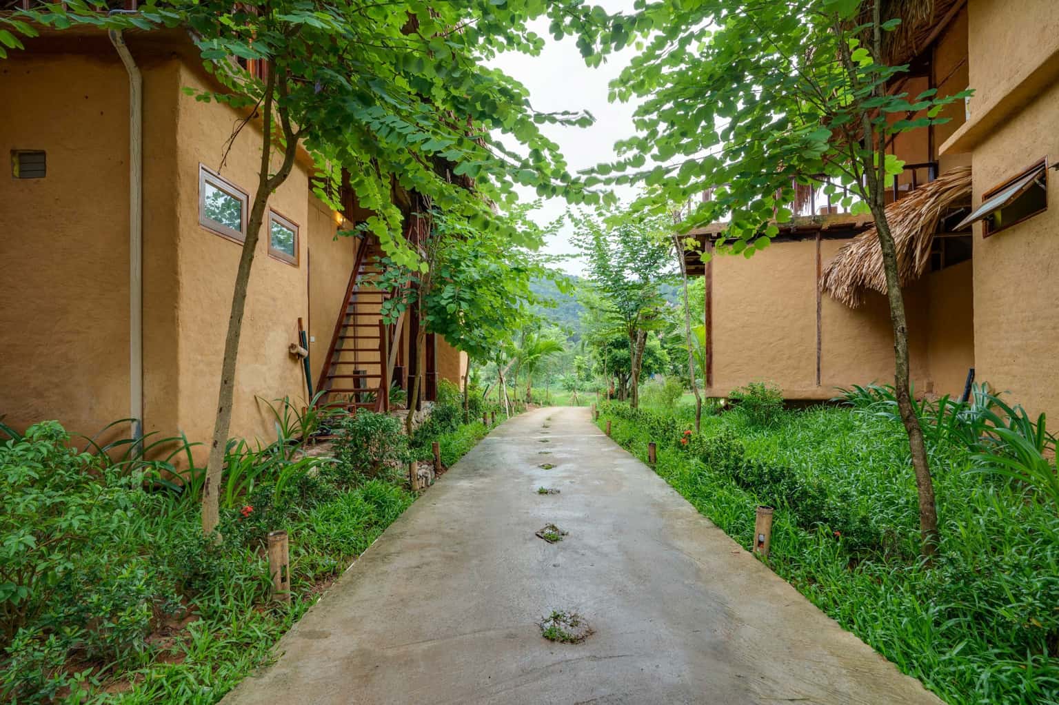 Family Room (Mai Châu Onsen Retreat) tại Hòa Bình — ảnh 19