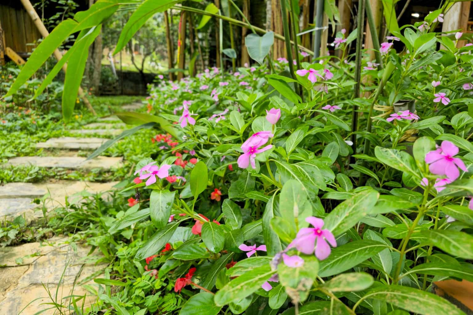 Bungalow double (La Maison de Buoc) tại Mai Châu — ảnh 22