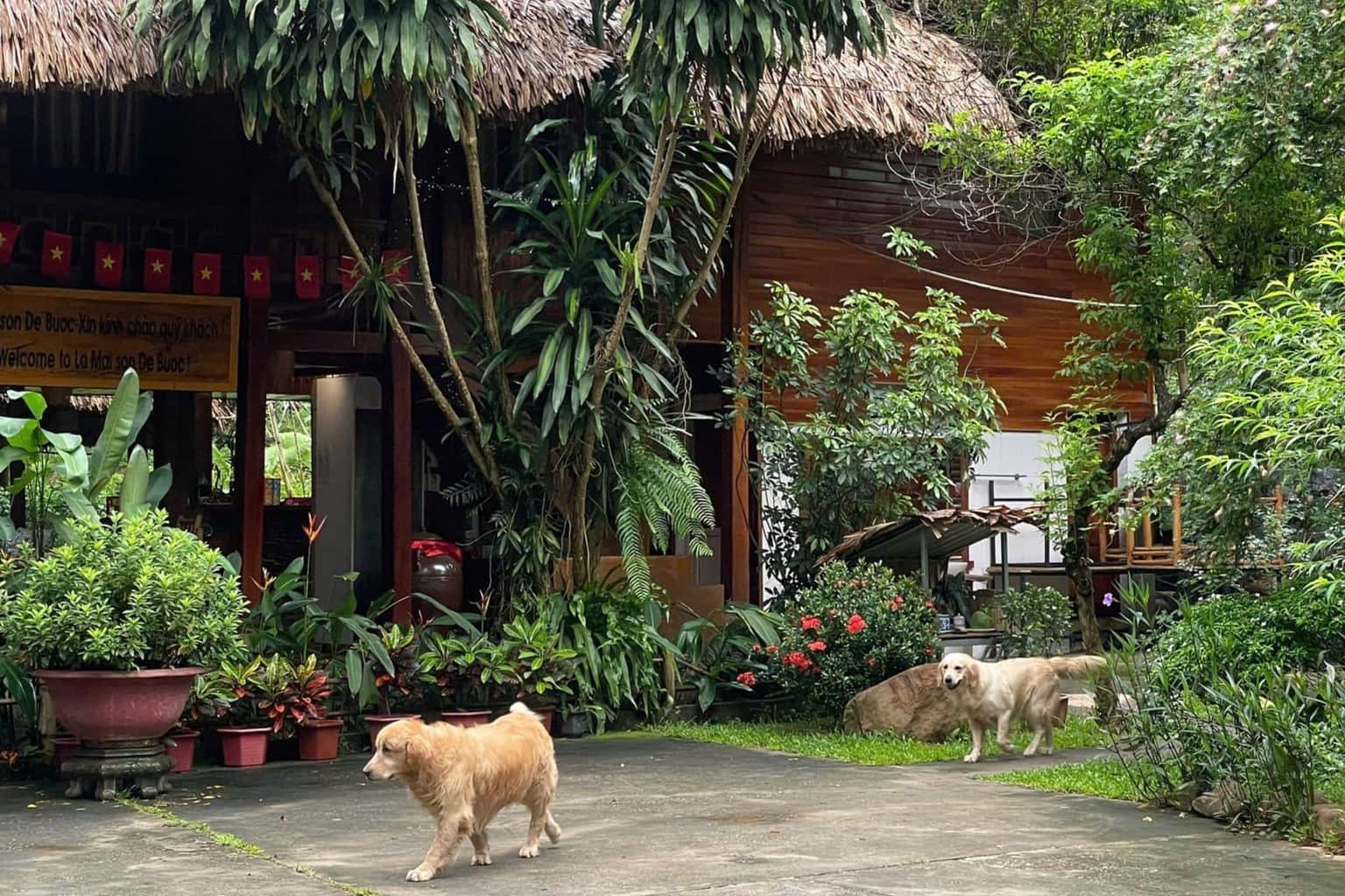 Bungalow double (La Maison de Buoc) tại Mai Châu — ảnh 23