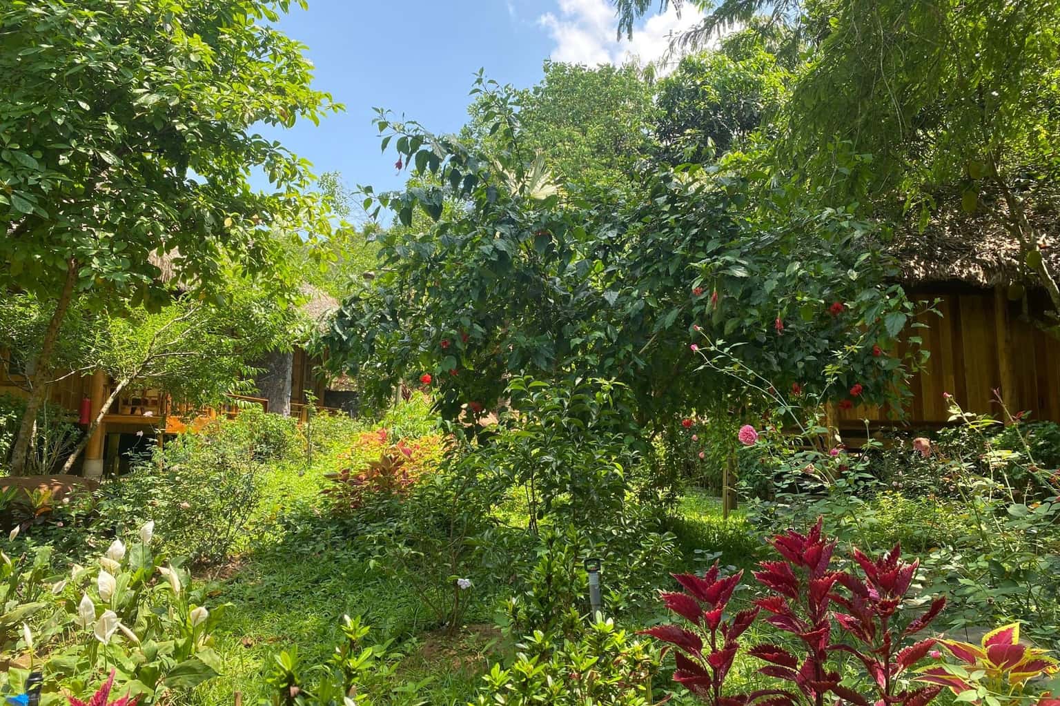 Bungalow double (La Maison de Buoc) tại Mai Châu — ảnh 25