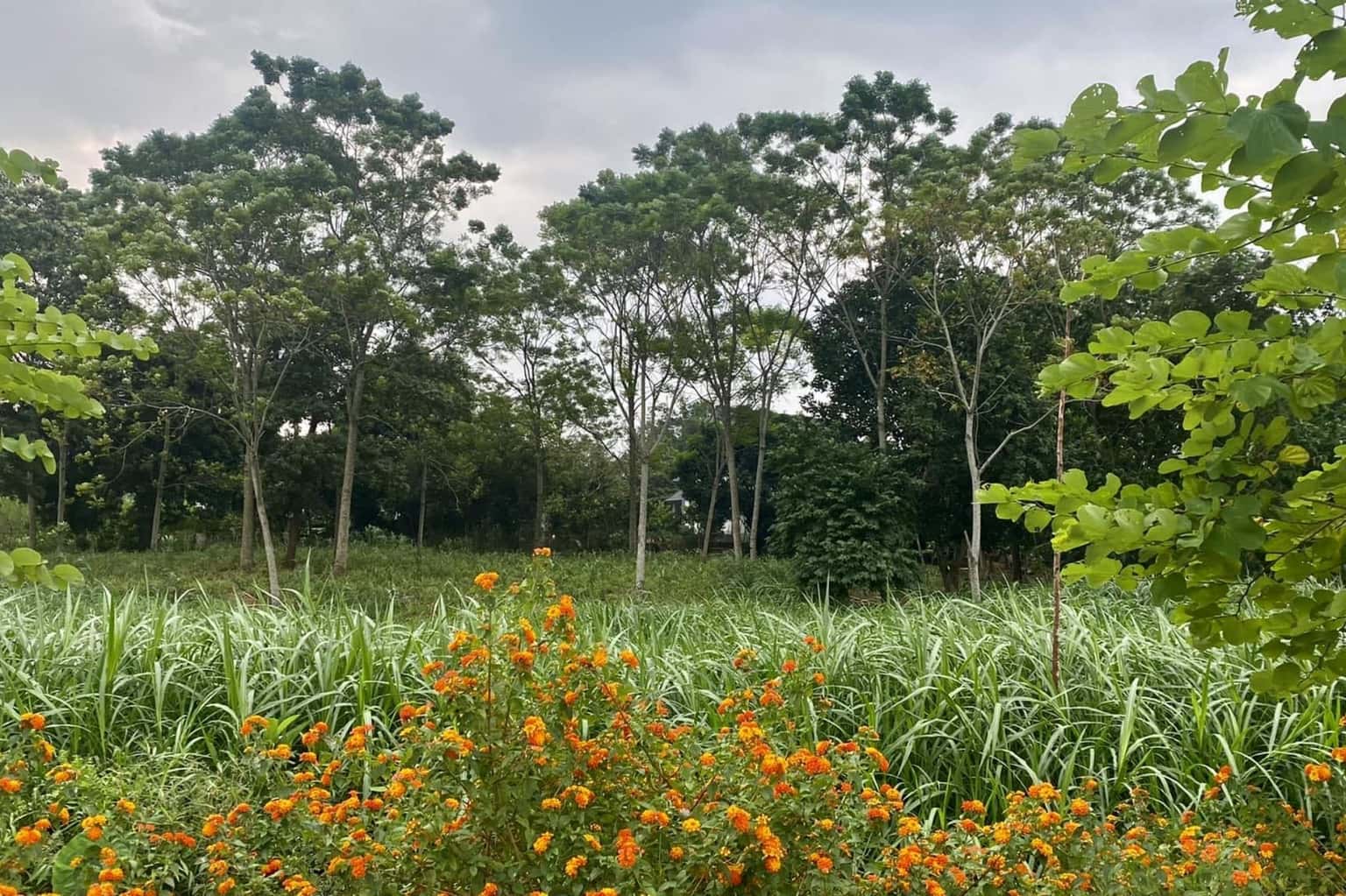 Ba Vì Hideaway Retreat tại Vân Hòa, Ba Vì — ảnh 9