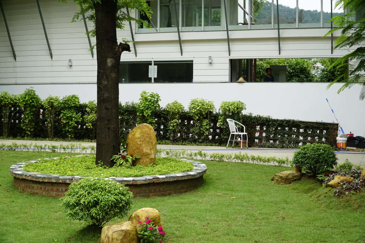 Guitar DC, Sóc Sơn () — ảnh 2