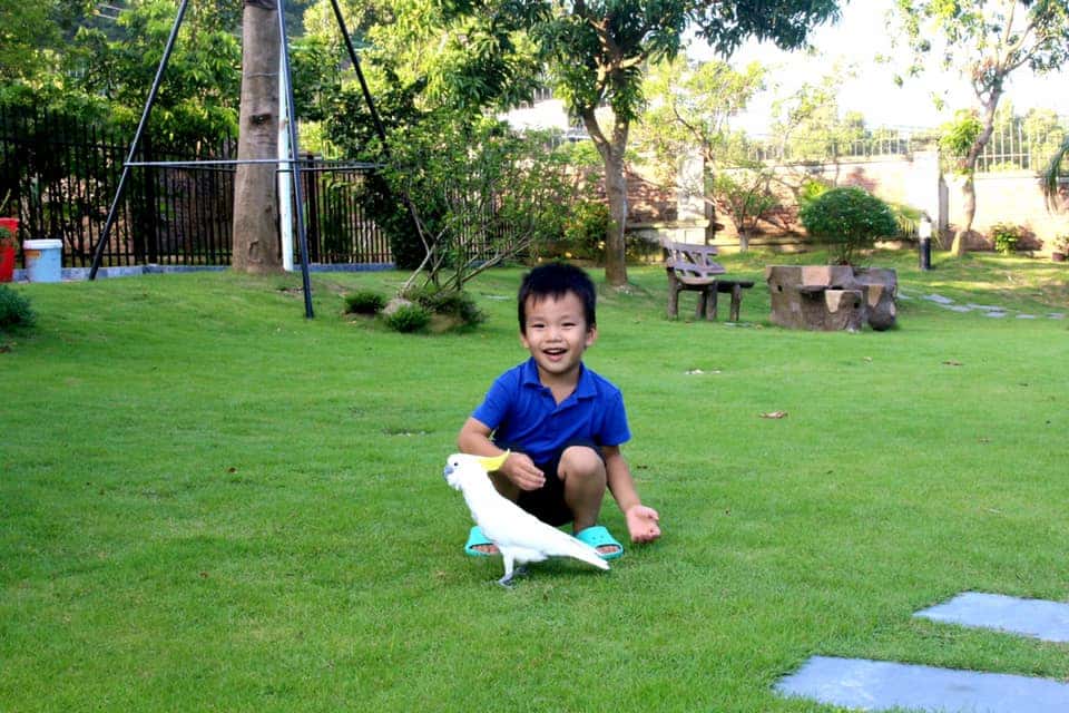hoat-dong-tai-lavita-villa-homestay-soc-son-ha-noi