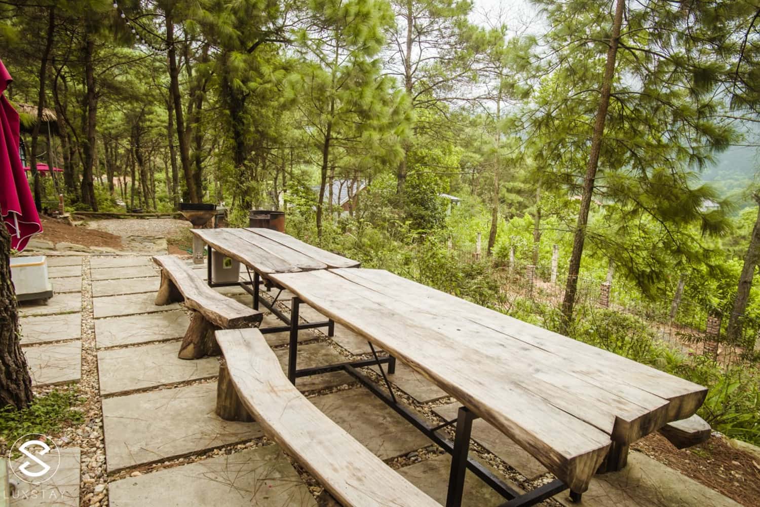 khong-gian-nha-gau-the-moonlight-homestay-soc-son-ha-noi