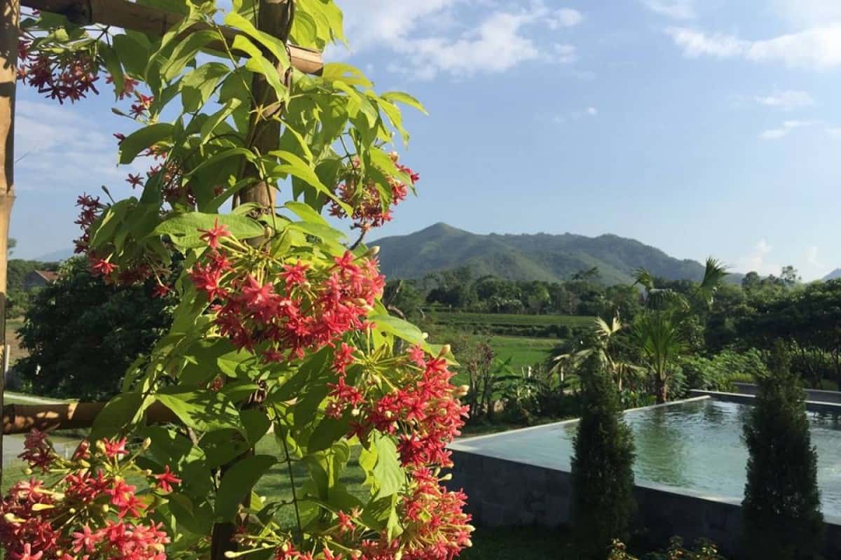 Yên Bài Garden, Ba Vì () — ảnh 8