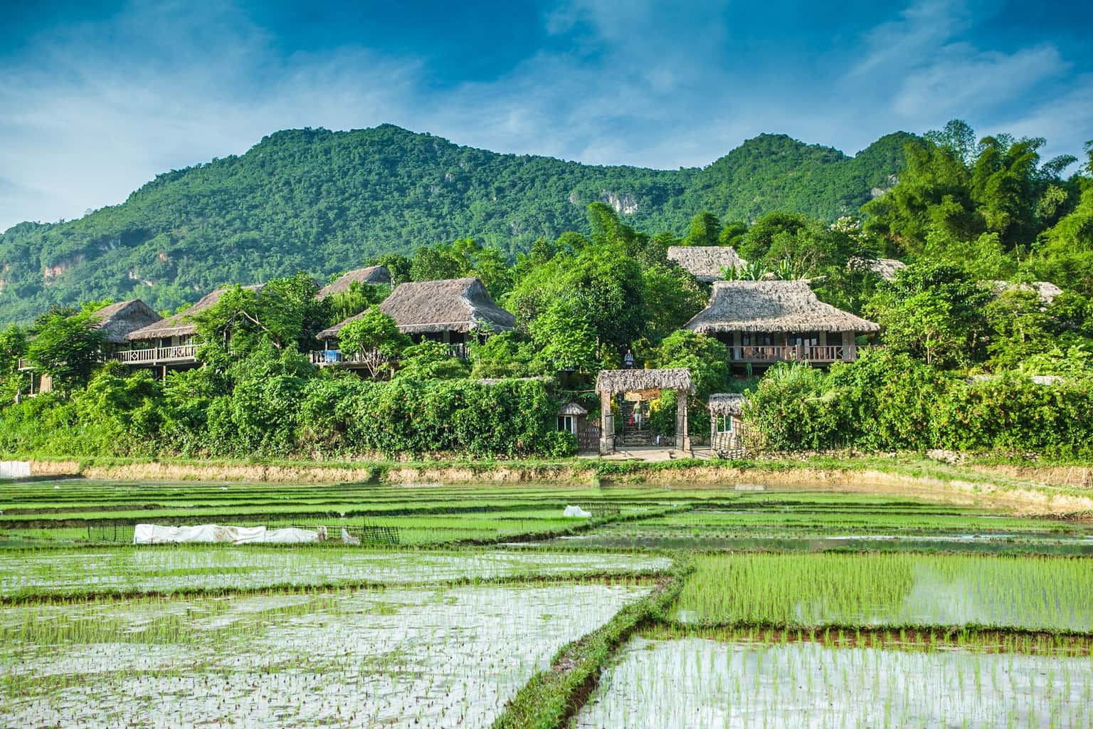 Phòng Deluxe 40 m2, Mai Chau Ecolodge — ảnh 6