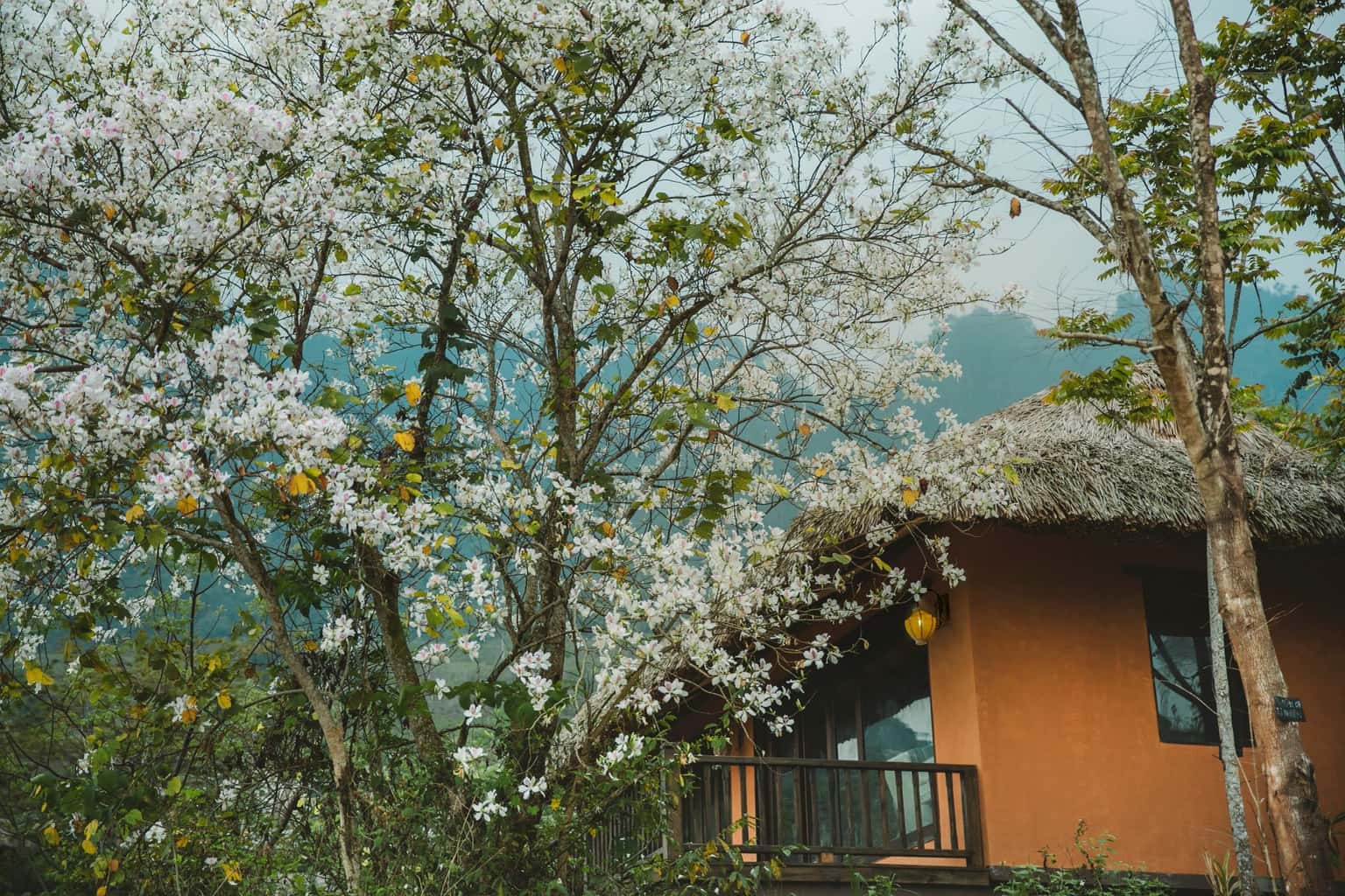 Senna Hilltop Pool Villa 2BD (Avana Retreat) tại Mai Châu, Hòa Bình — ảnh 20