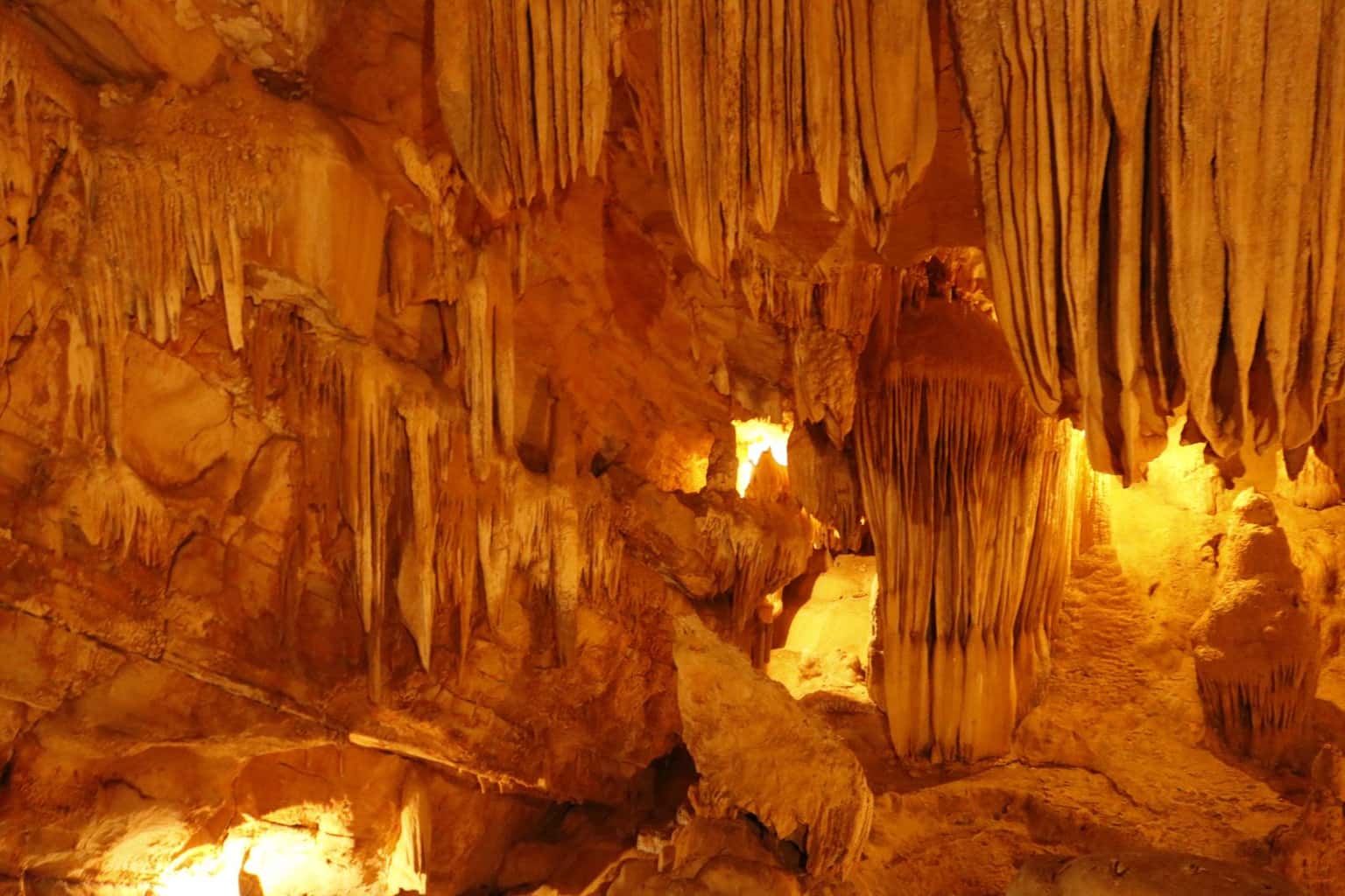dong vai gioi vuon chim thung nham trang an ninh binh