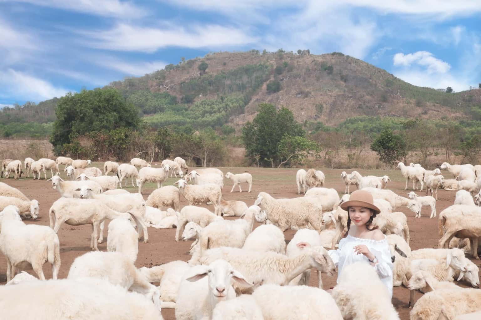 dong cuu suoi nghe trai nghiem khong the bo lo khi den vung tau