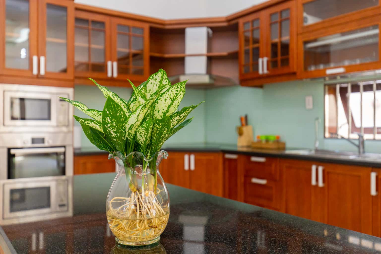 Palm Villa 24 sát biển, số 45 Trần Phú, Vũng Tàu — ảnh 22