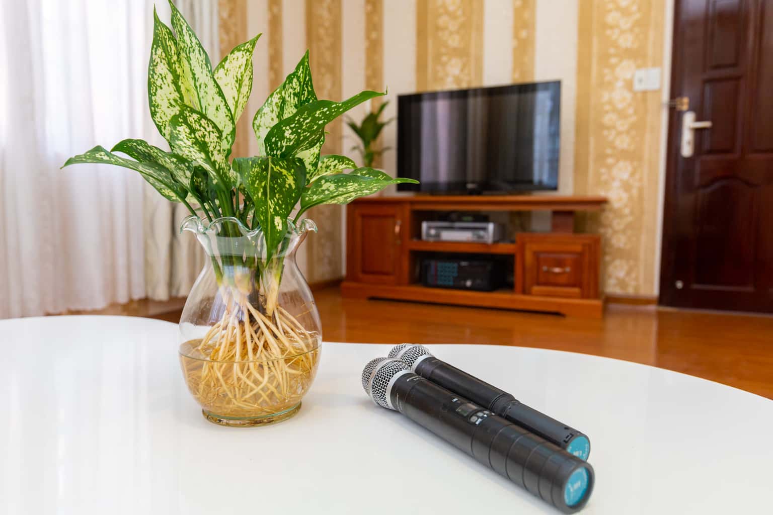 Palm Villa 24 sát biển, số 45 Trần Phú, Vũng Tàu — ảnh 11