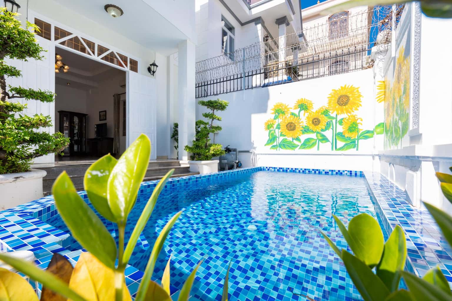 Palm Villa 3, 10D Lạc Long Quân, Vũng Tàu — photo 2