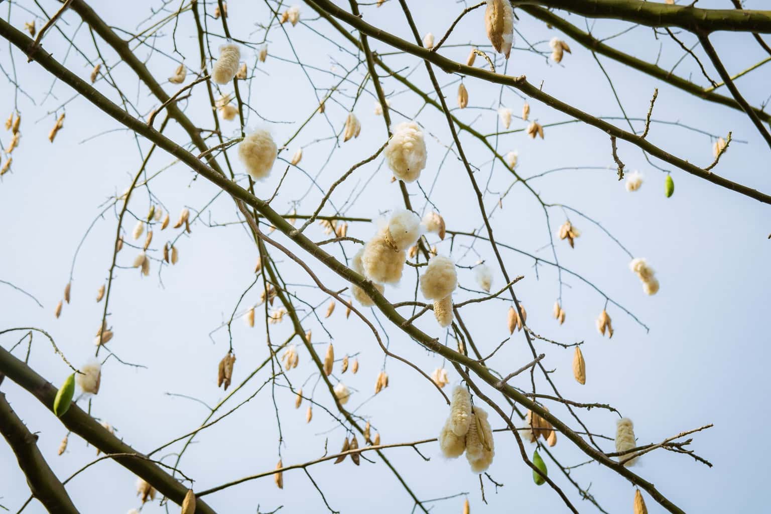Ngọn Hải Đăng Vũng Tàu  — ảnh 15