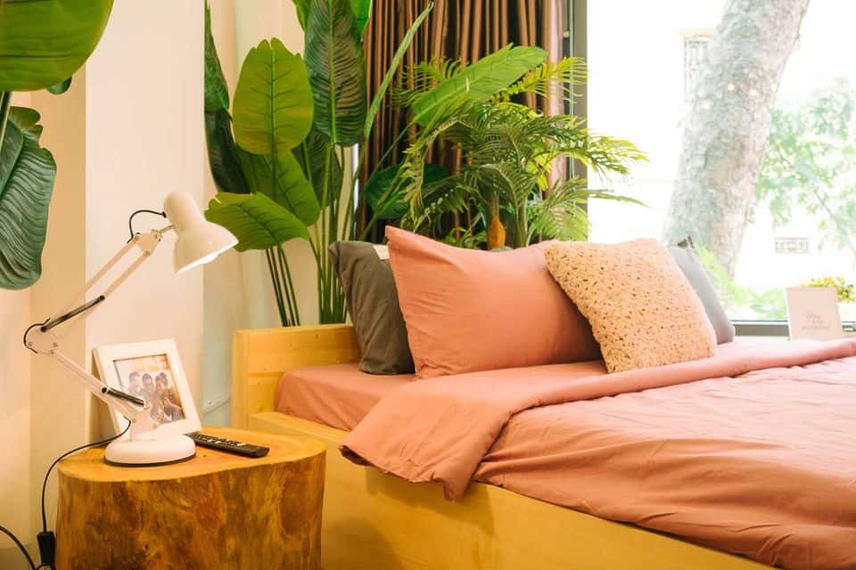 apartment 2 veque homestay