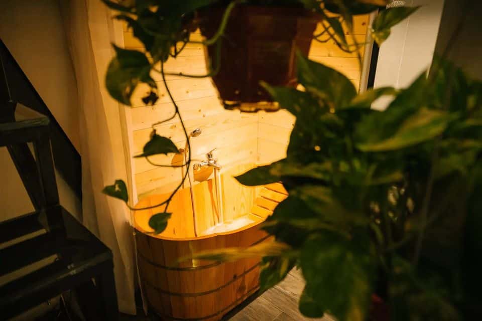 lotus room ly thuong kiet 56 homestay ha noi