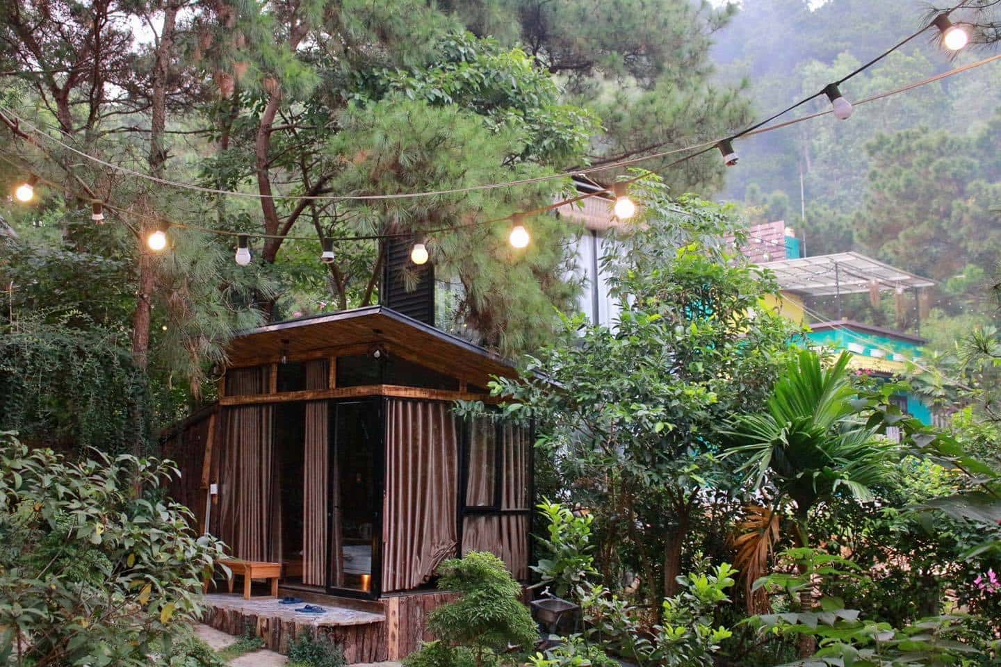 nha cay sung the moonlight soc son ha noi