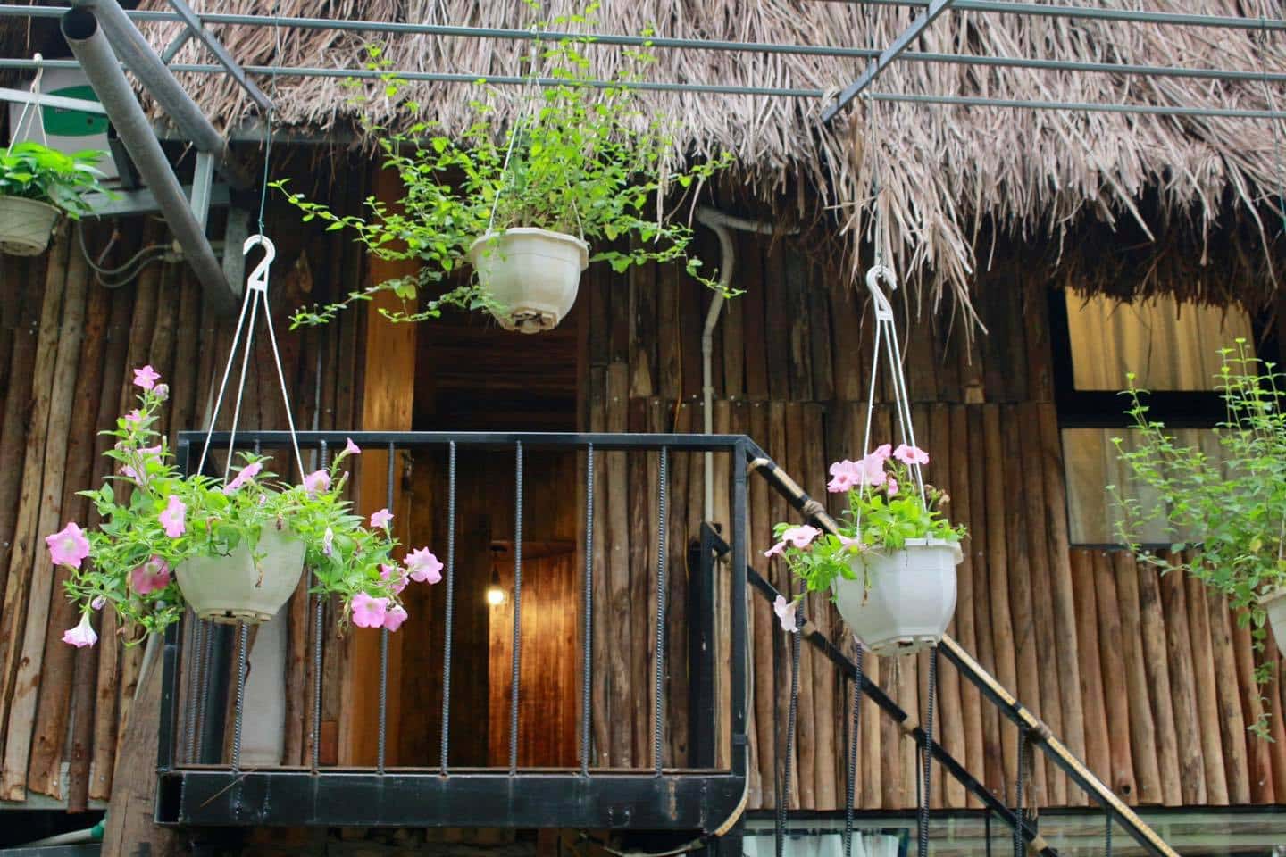 Pine Tree House - Ánh Trăng, Sóc Sơn () — photo 8
