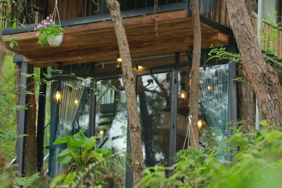 Pine Tree House - Ánh Trăng, Sóc Sơn () — photo 7